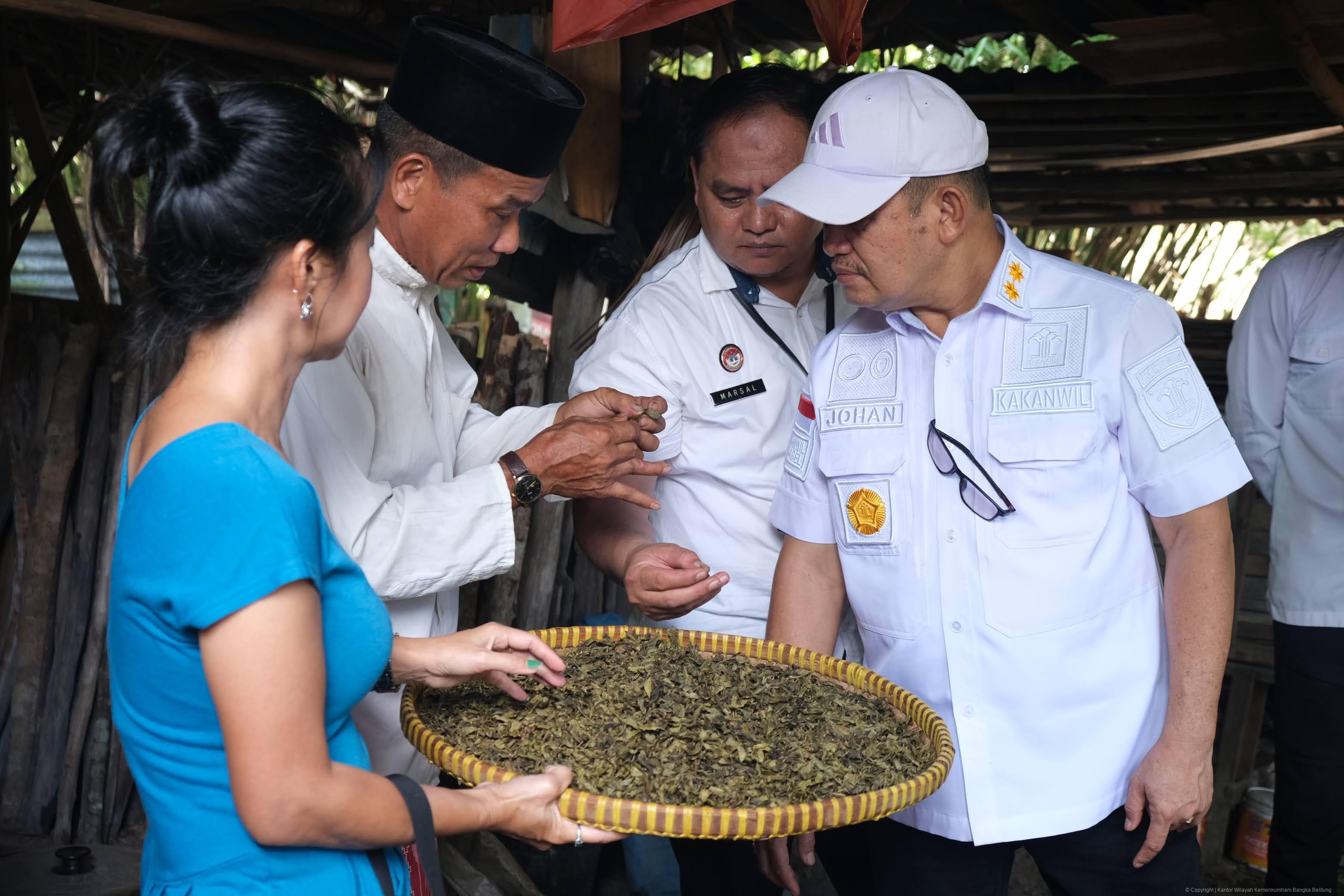 Survey Teh Tayu Jebus