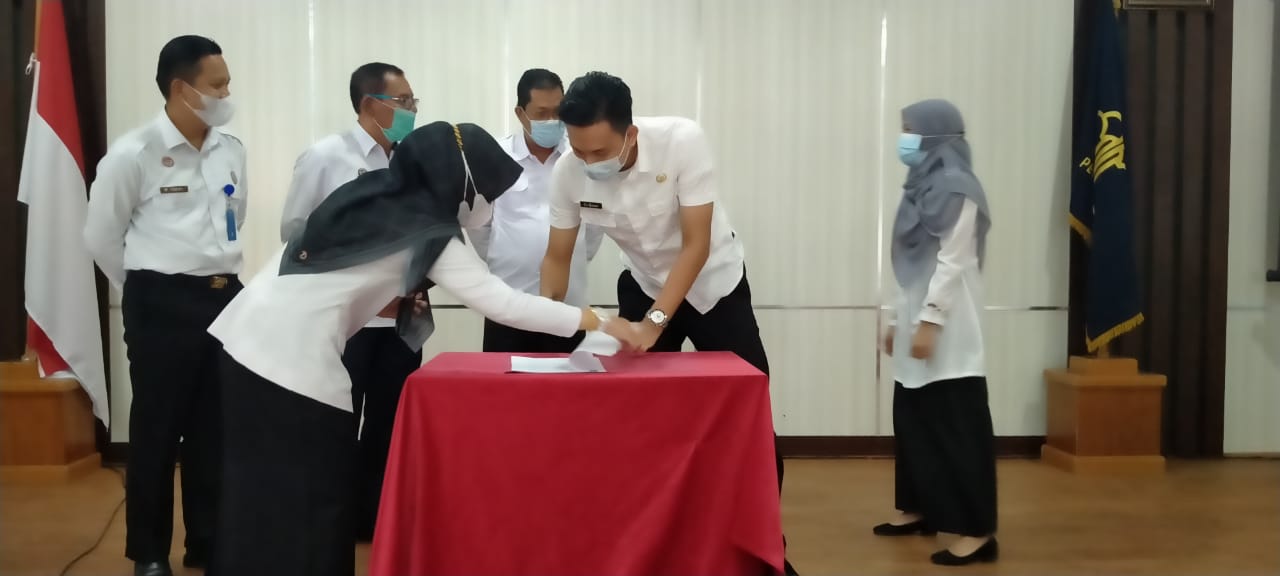 WhatsApp Image 2021 03 31 at 12.48.52