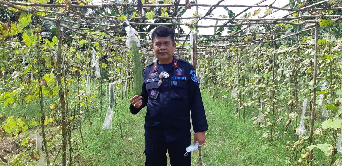 WhatsApp Image 2021 06 04 at 16.29.45