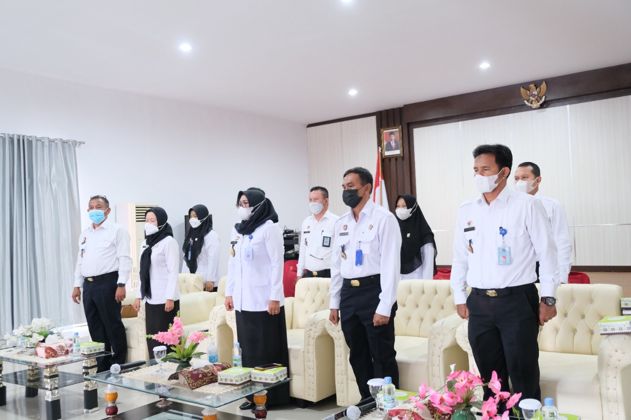 WhatsApp Image 2021 11 03 at 12.43.56