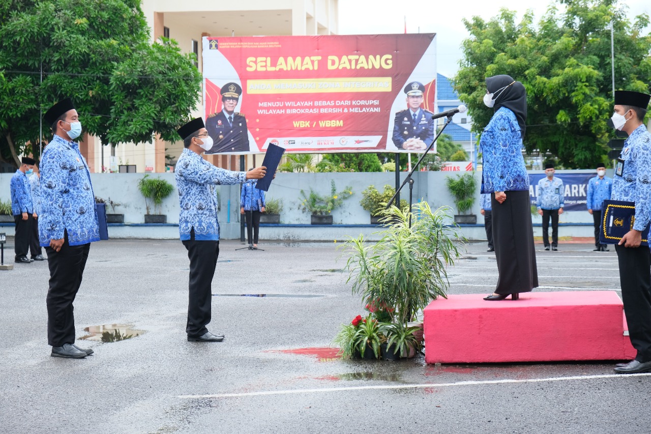 WhatsApp Image 2021 11 10 at 09.45.35