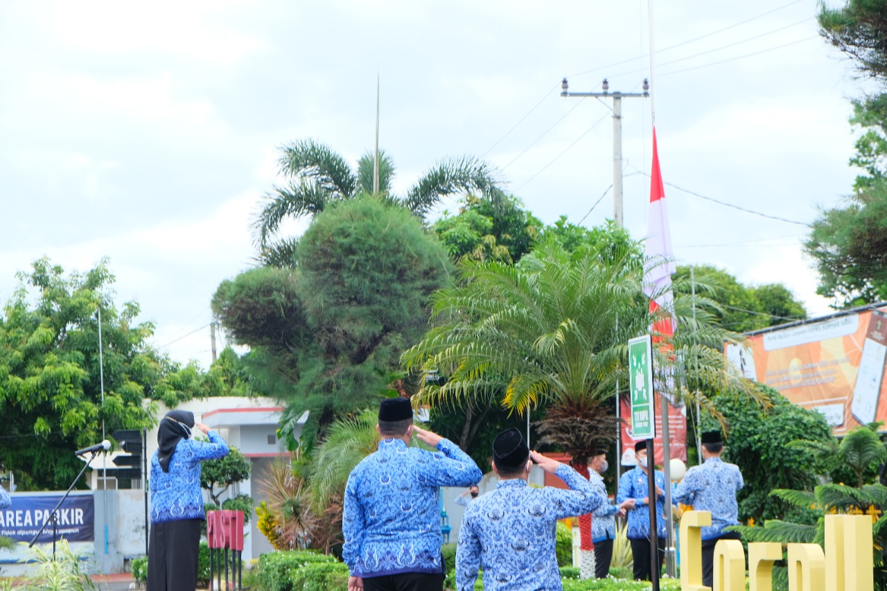 WhatsApp Image 2021 11 10 at 09.45.35