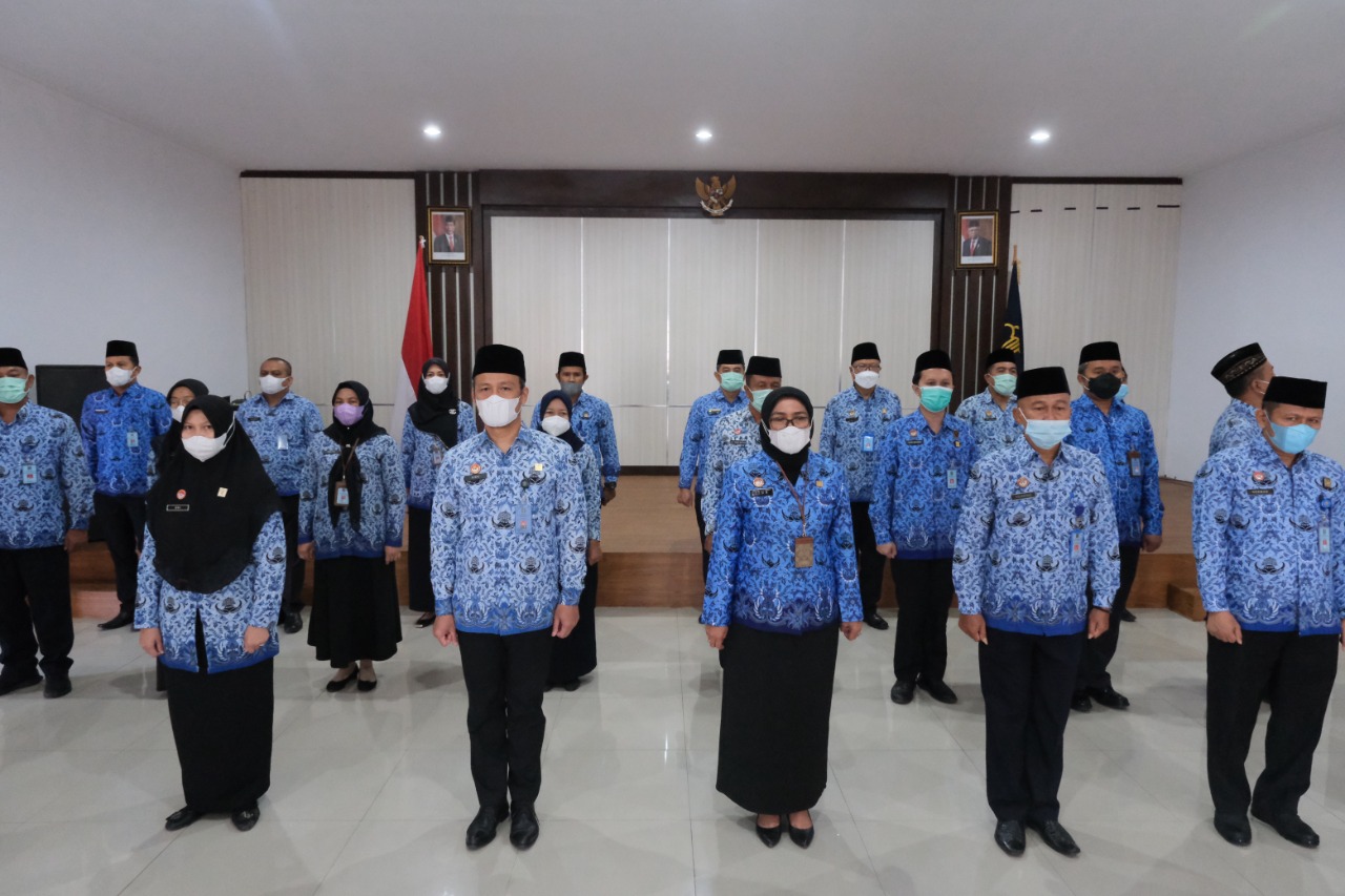 WhatsApp Image 2021 11 29 at 10.44.50 1