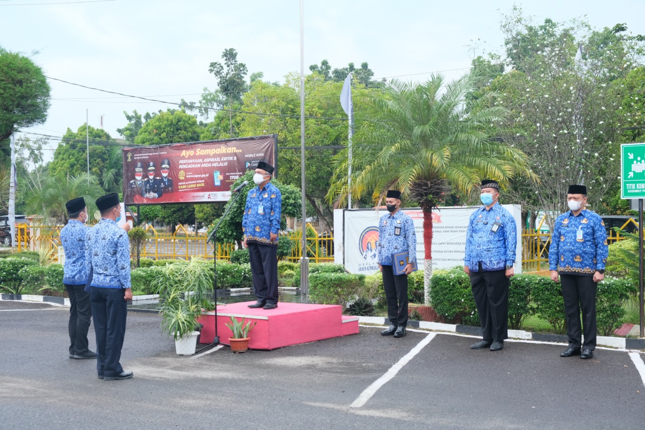 WhatsApp Image 2022 05 20 at 09.14.56