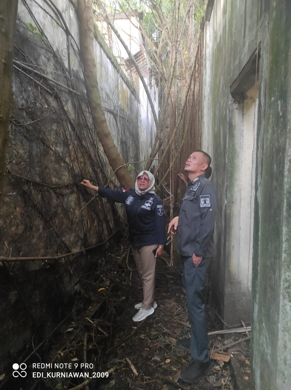 WhatsApp Image 2022 05 27 at 17.51.13