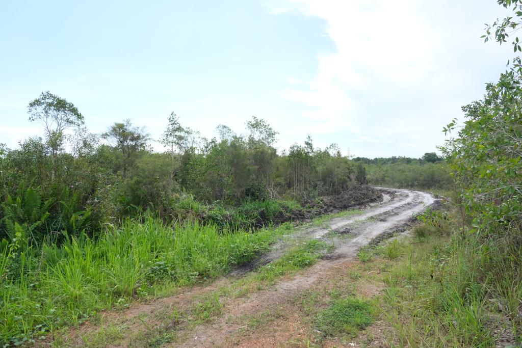 WhatsApp Image 2022 06 02 at 15.51.37 1