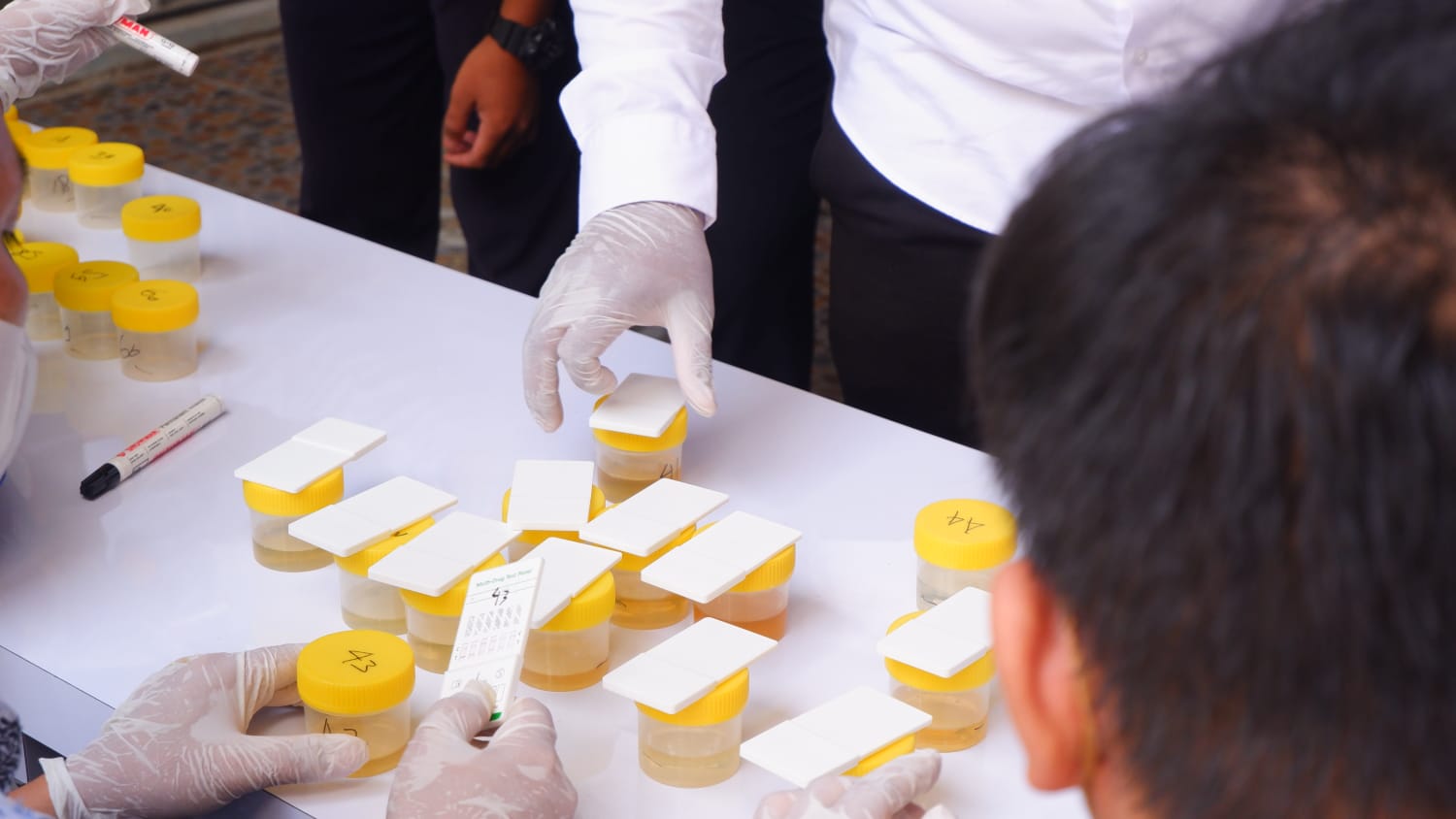 WhatsApp Image 2022 07 04 at 4.44.35 PM