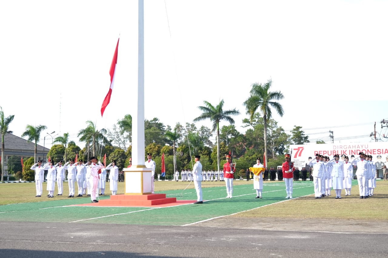 WhatsApp Image 2022 08 17 at 16.40.29 1