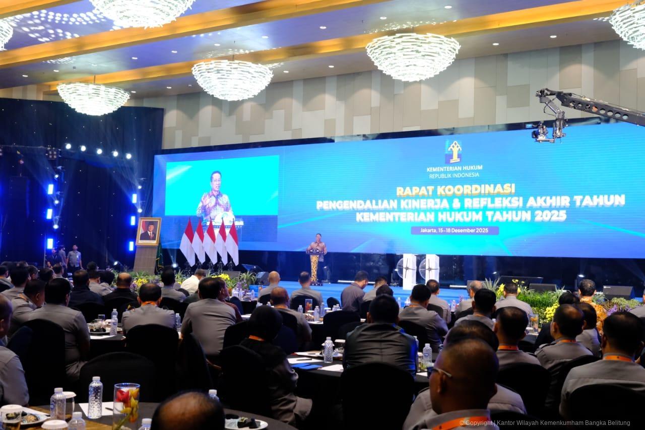 WhatsApp Image 2025 12 15 at 15.35.06