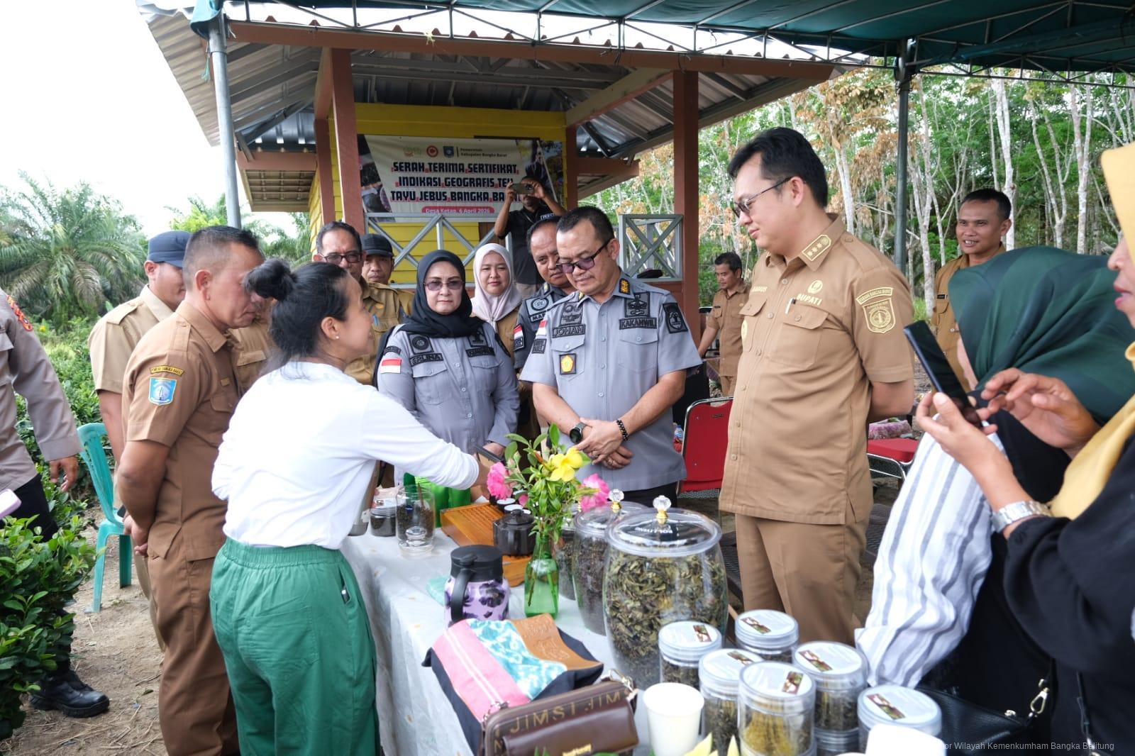 WhatsApp Image 2026 04 06 at 12.01.15