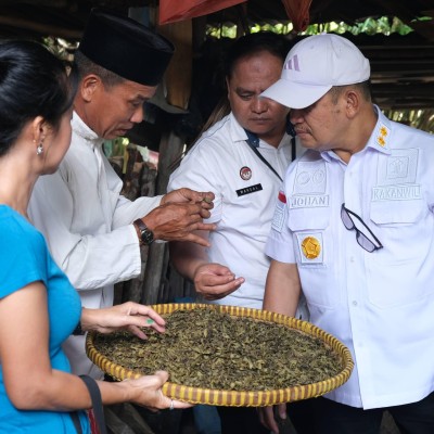 Survey Teh Tayu Jebus